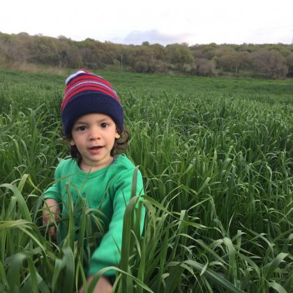 קורס טיפול בילדים בטווינא – פברואר בנתניה